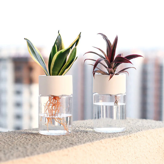 Mini Hydroponic Plant Vase