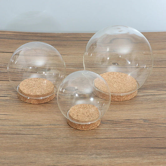 Clear Glass Dome Cover with Wooden Base