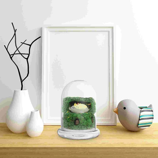 Micro Landscape Vase with Glass Dome Cover