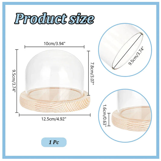 Glass Dome Display Case with White Wood Base
