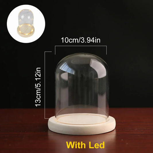 Clear Glass Dome Cloche with Wooden LED Light Base
