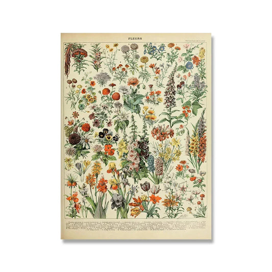 Vintage Adolphe Millot Encyclopedia Posters