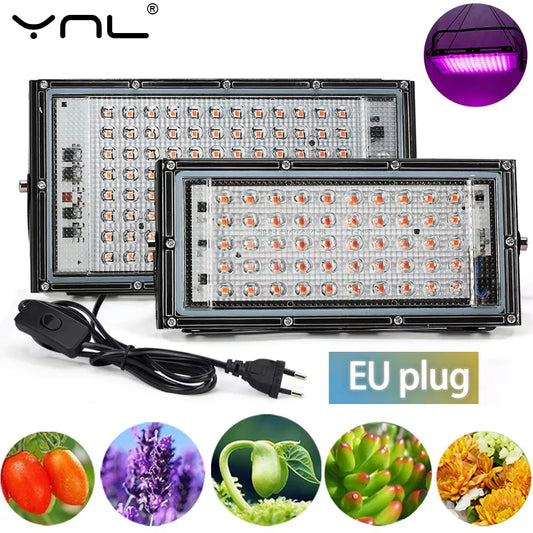 LED Grow Light