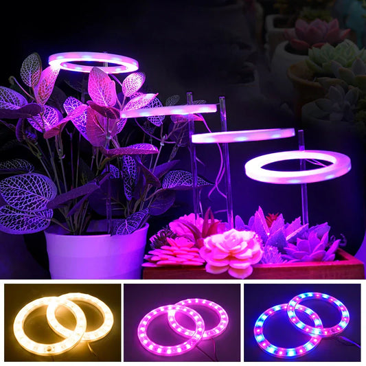LED Grow Light