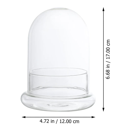 Mini Ecological Moss Glass Bottles
