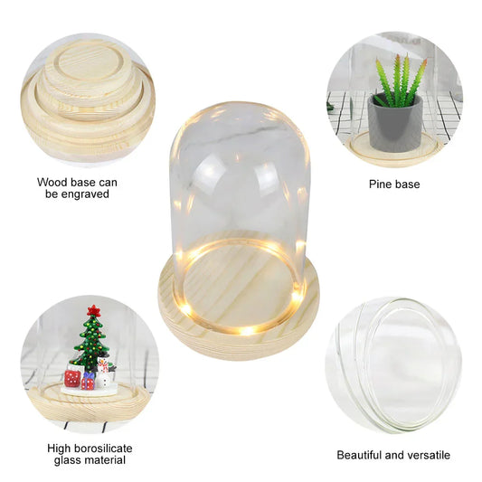 Clear Glass Dome Cloche with Wooden LED Light Base