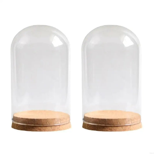 2Pcs Mini Glass Cloche Dome Bell Jars